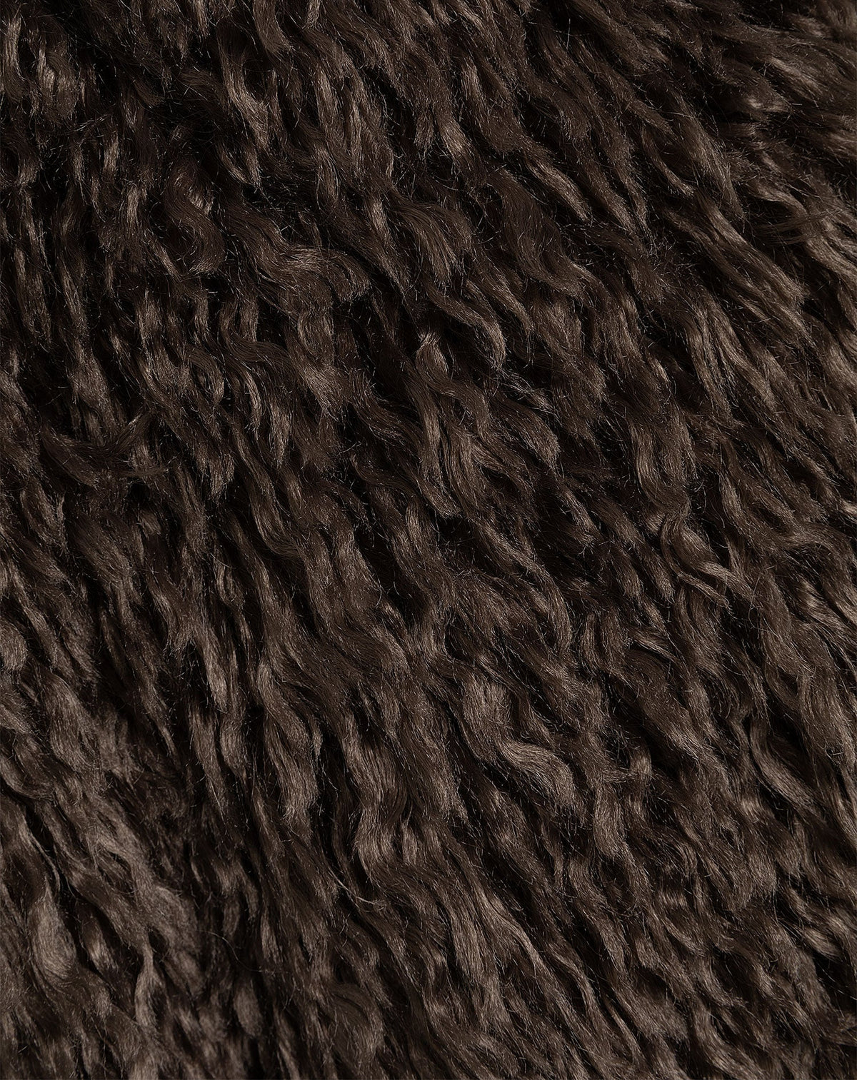 HAIRY COAT BRUIN