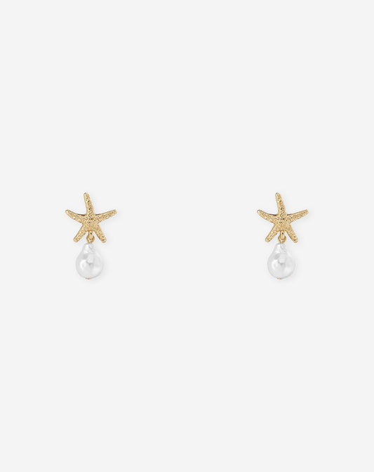 SMALL SEASTAR EARRINGS