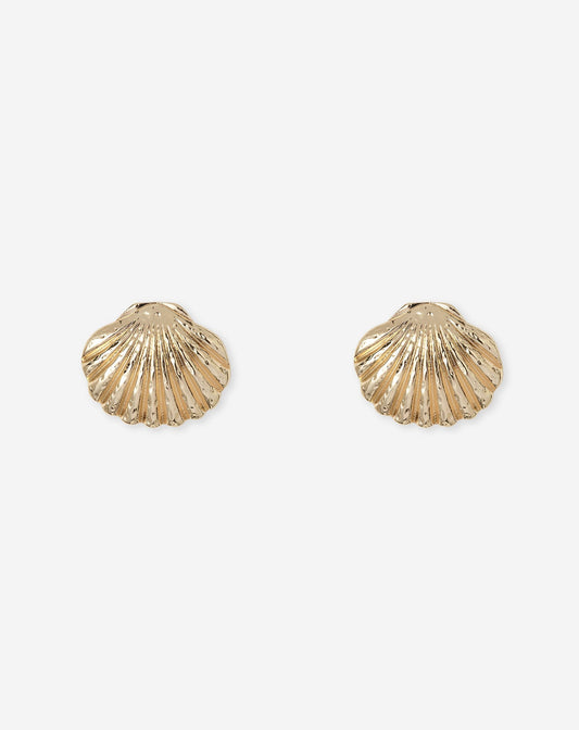 BIG SEASHELL EARRINGS