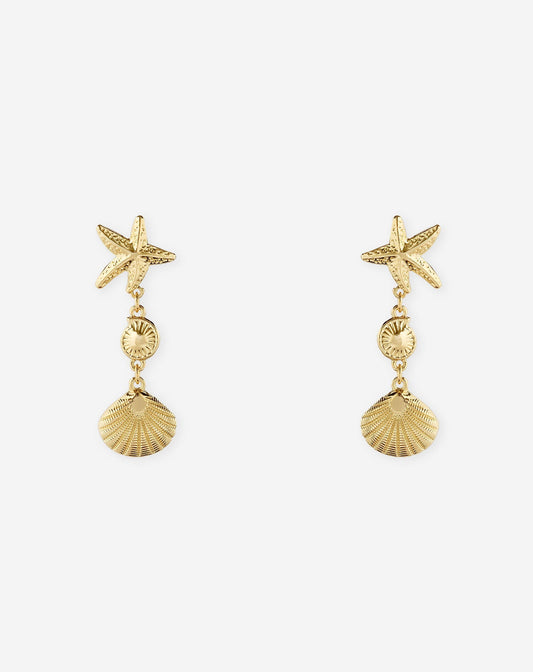 MULTI SEASHELL EARRINGS